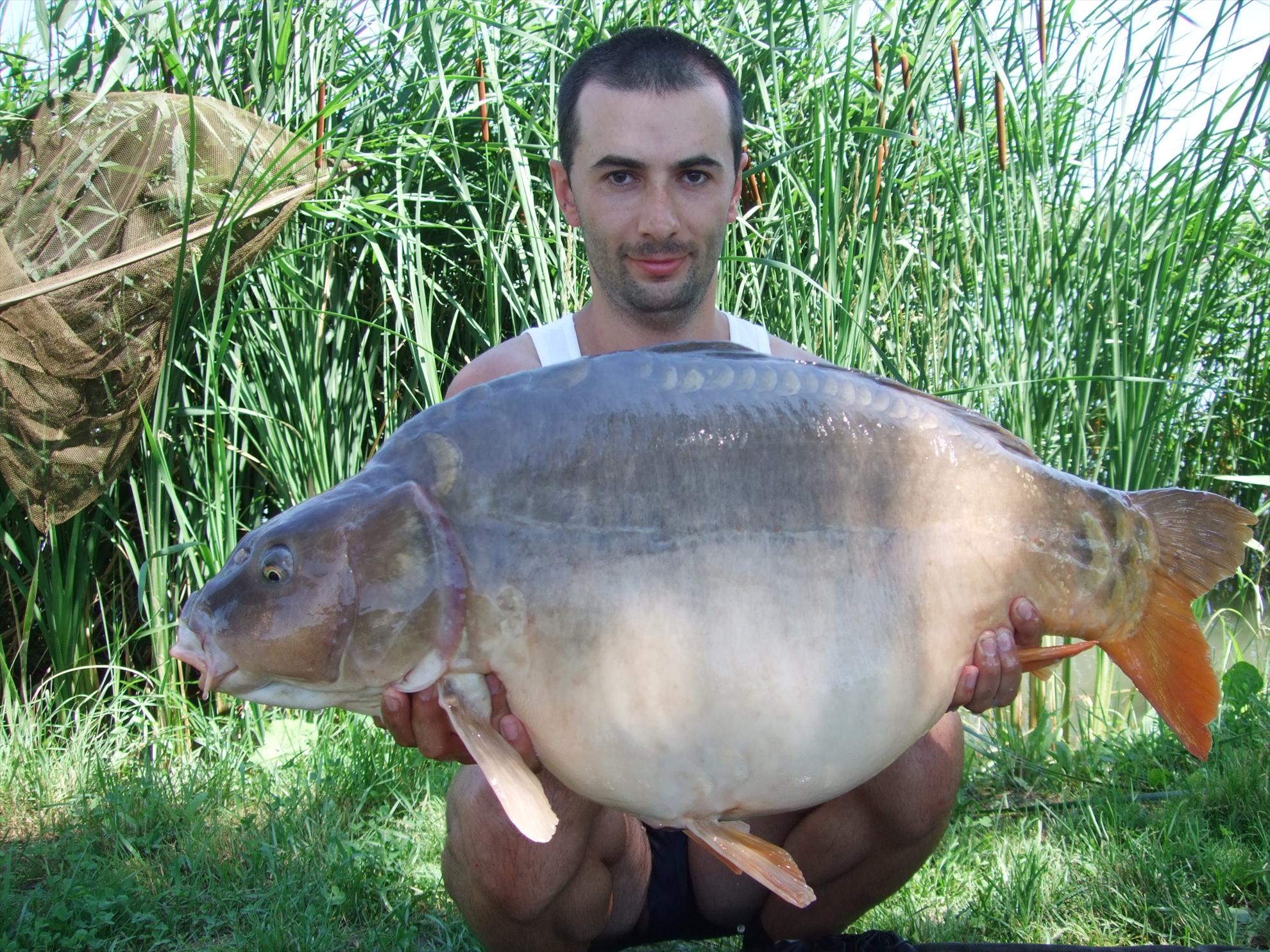 Nagykallo 2012 - 219.JPG